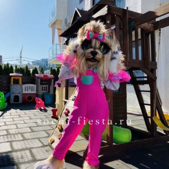 Аниматор Гламурная Собака в Челябинске