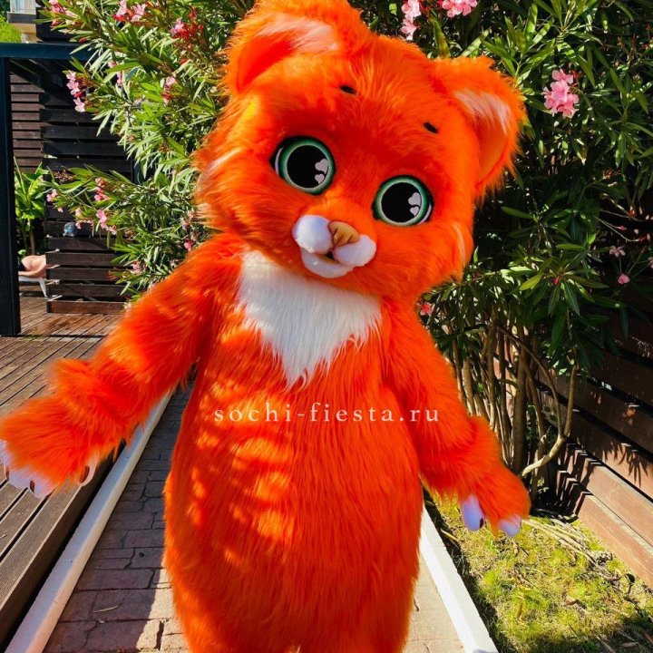 Аниматор Котик в Челябинске