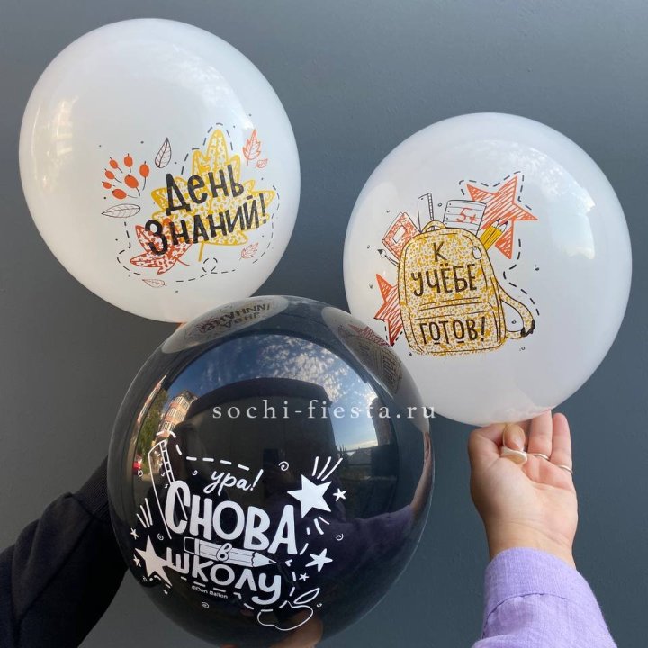 Воздушный шар к 1 сентября в Челябинске