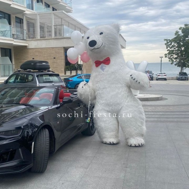 Аниматор Белый Медведь в Челябинске