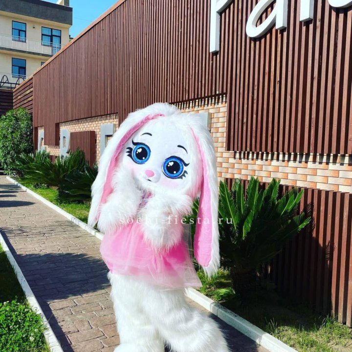 Аниматор Зайка в Челябинске