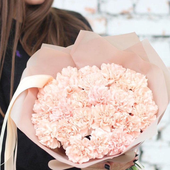 Диантусы №2 в Челябинске