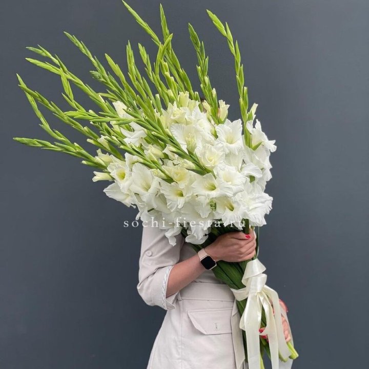 19 белых гладиолусов под ленту в Челябинске