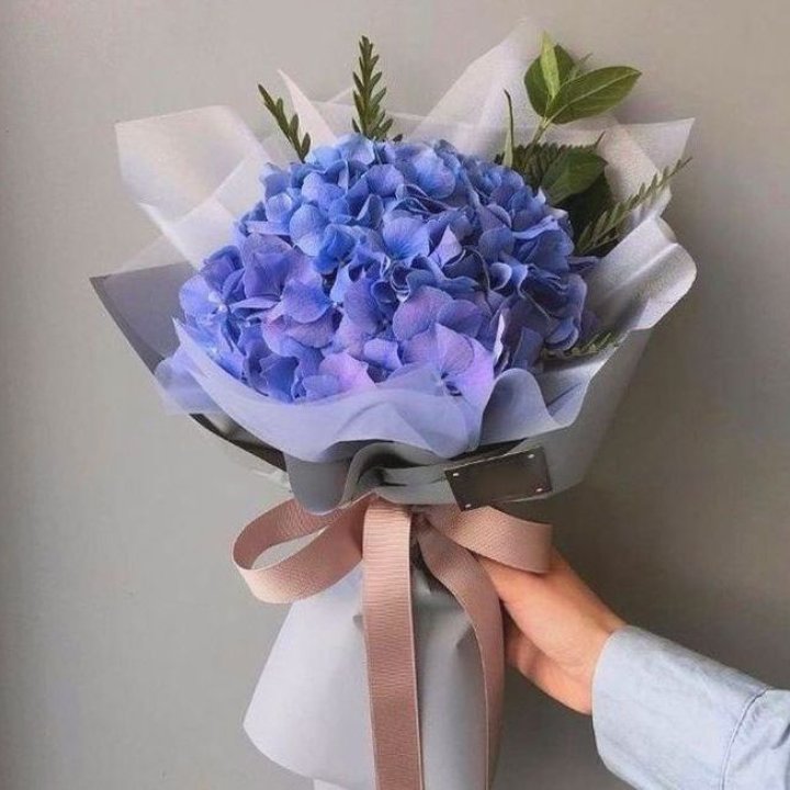 Гортензия голубая в Челябинске