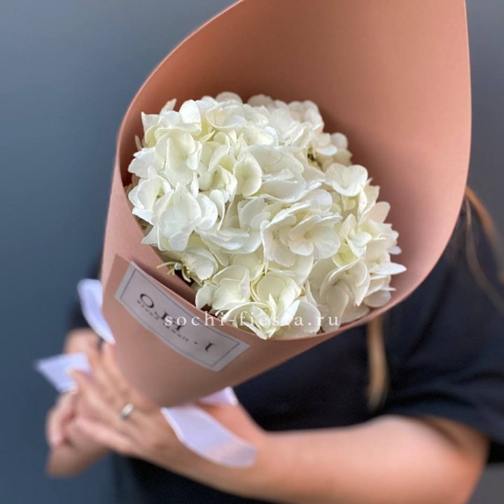 Гортензия в конверте в Челябинске