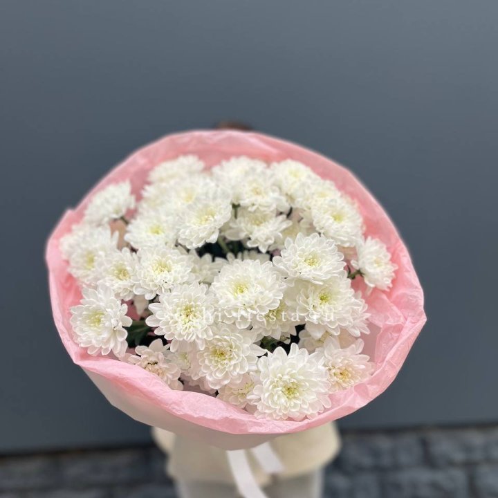  5 хризантем  в Челябинске