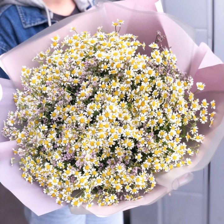 Букет ромашек №1 в Челябинске
