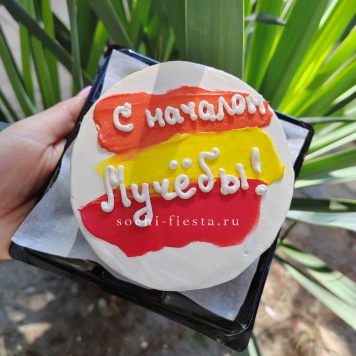 Бенто-торт "С началом учёбы"" в Челябинске