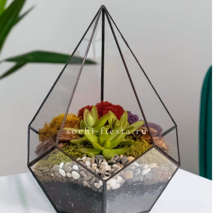 Флорариум Капля с суккулентом в Челябинске