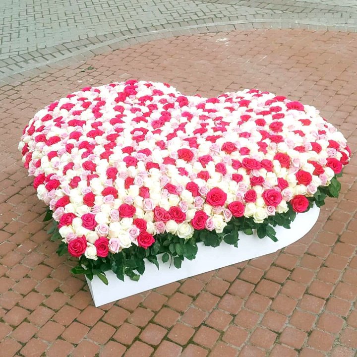 555 роза  в Челябинске