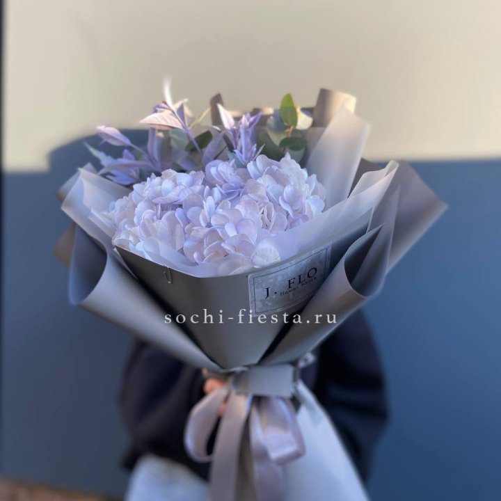 Гортензия "Виолета" в Челябинске