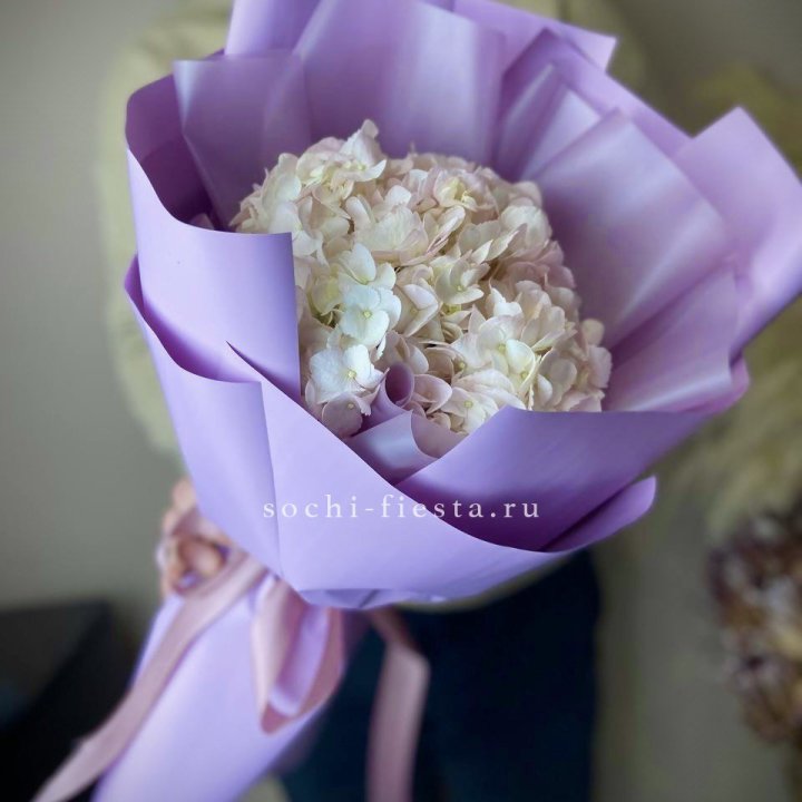 Гортензия розовая в Челябинске