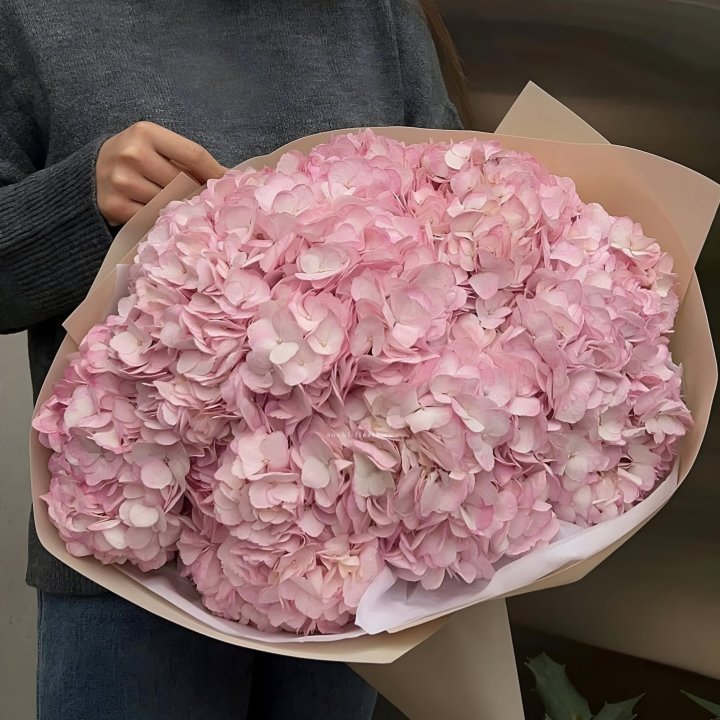 Гортензия  "РОЗЕ" в Челябинске