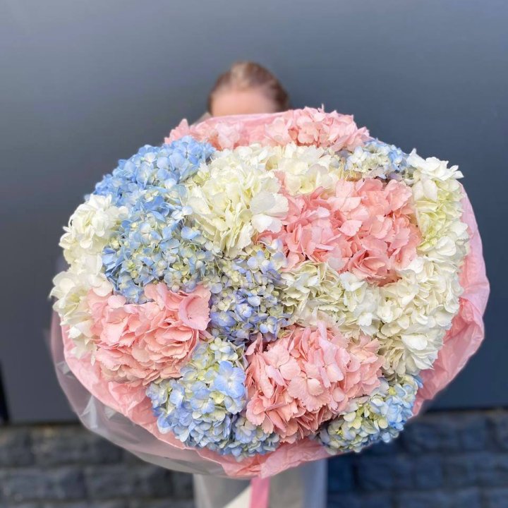 19 гортензий микс в Челябинске