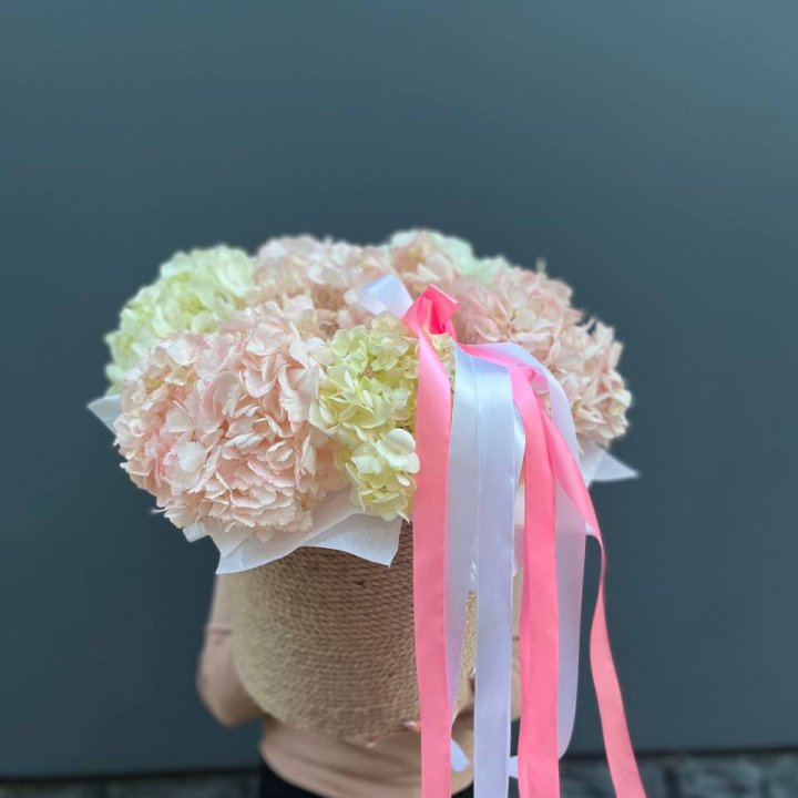 7 гортензий в кашпо в Челябинске