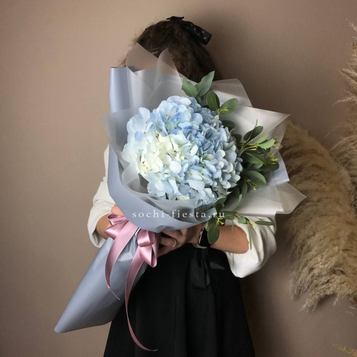 Гортензия Уно в Челябинске