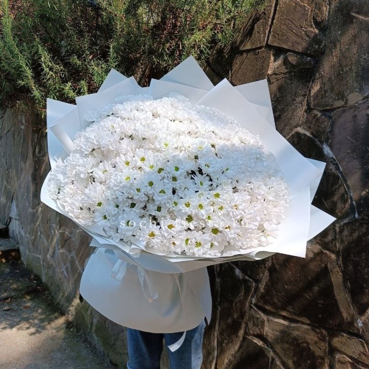 Облако хризантем №2 в Челябинске