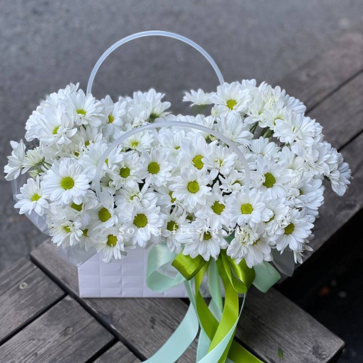 Сумка с хризантемами ромашками в Челябинске