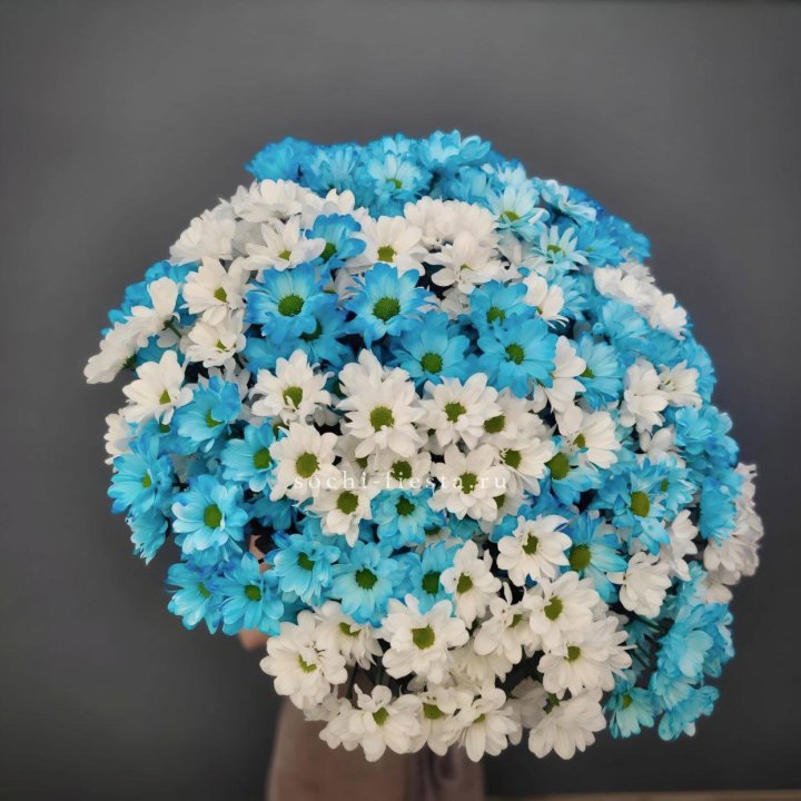  Букет хризантем микс в Челябинске