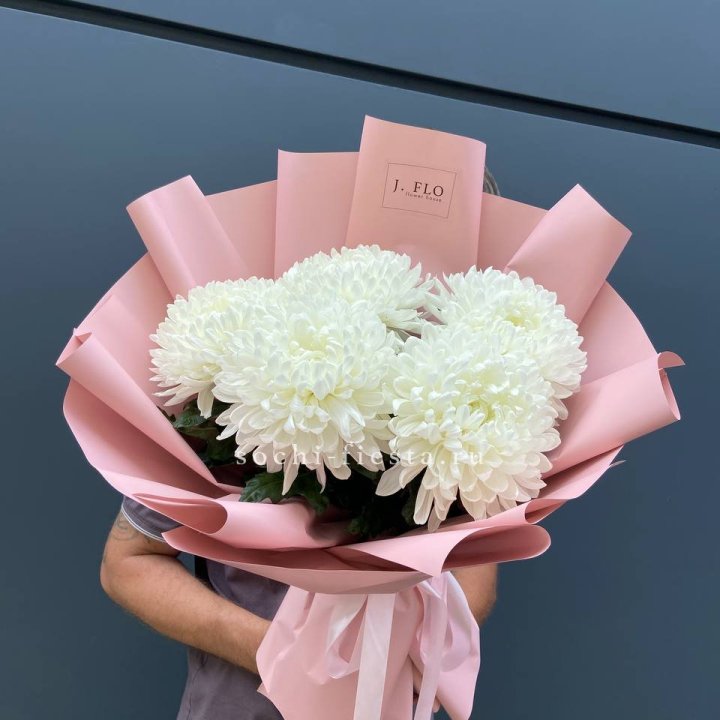 Профитроли №2 в Челябинске