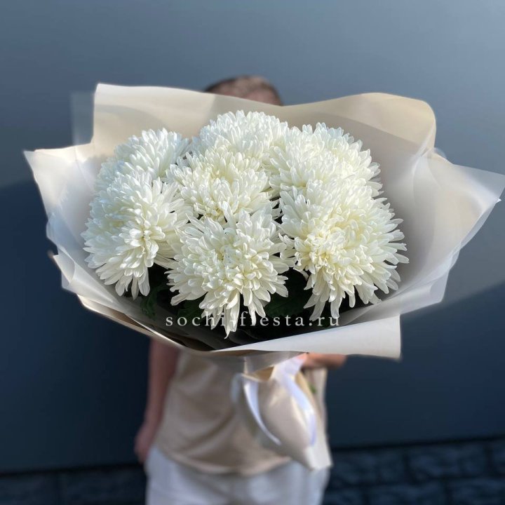 Профитроли в Челябинске