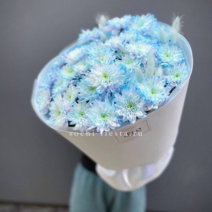  Букет нежно-голубых хризантем  в Челябинске