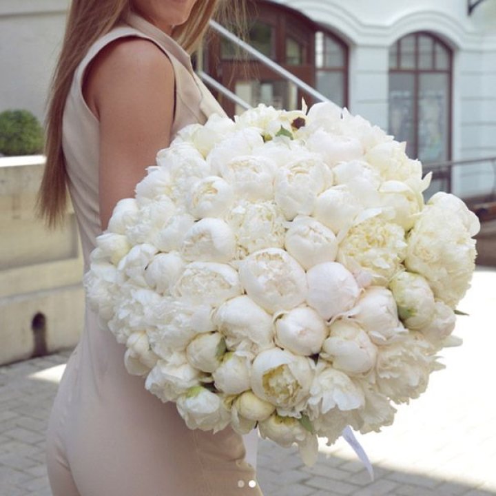 51 белый пион в Челябинске