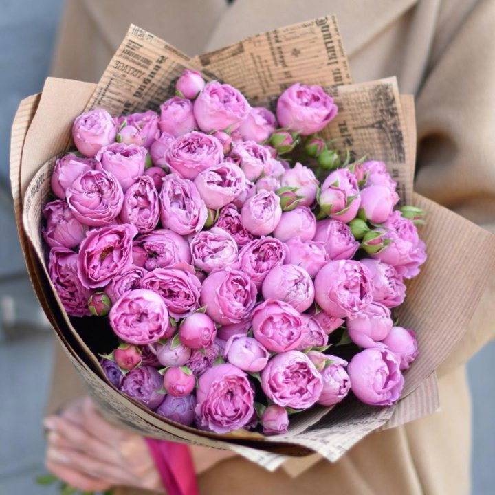 Роза Мисти Баблс в Челябинске