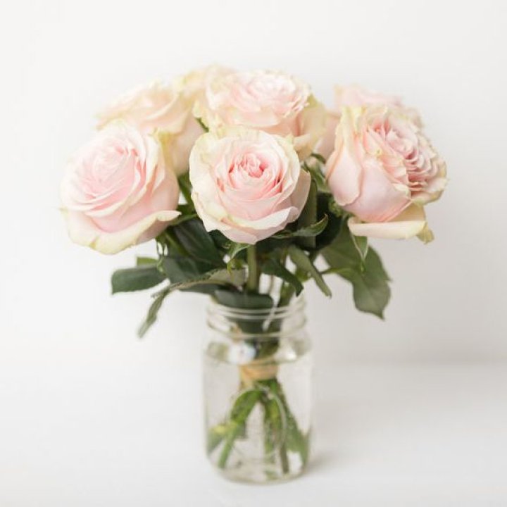 7 кремовых роз в Челябинске