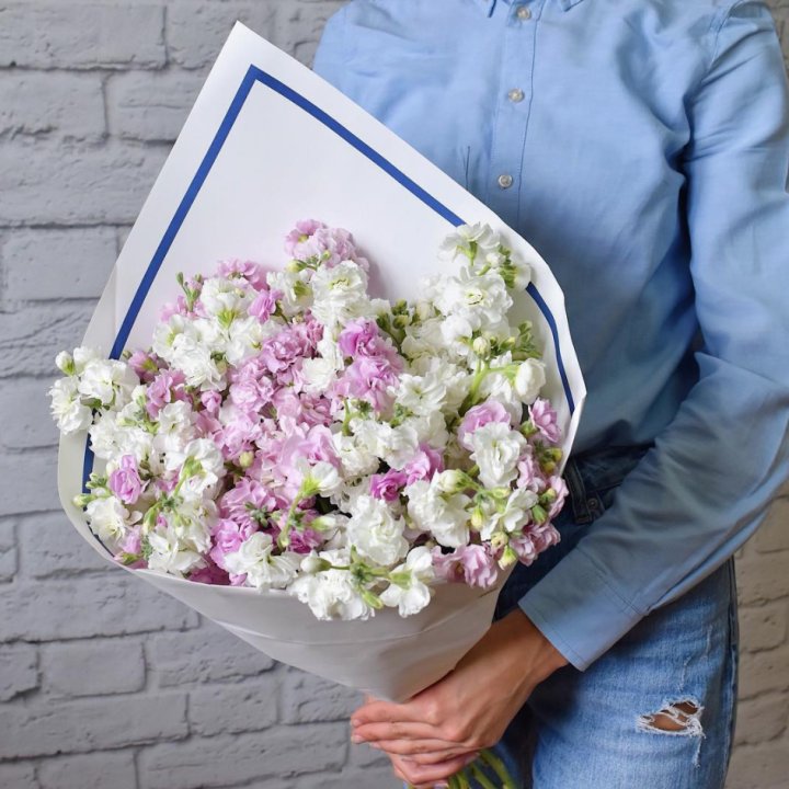 Маттиола в Челябинске