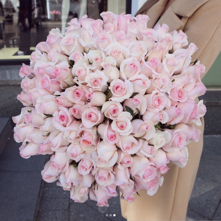 Розы "Пинк бум" в Челябинске