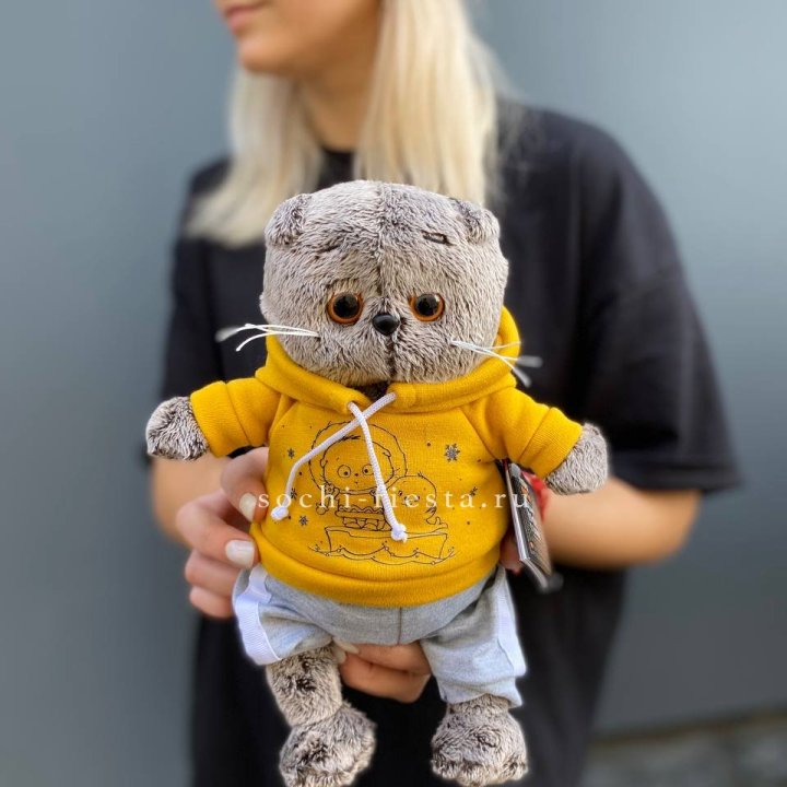 Кот Басик в худи в Челябинске