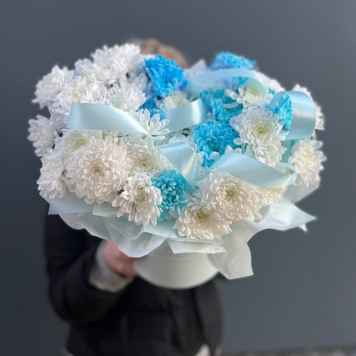 Хризнтемы в боксе в Челябинске