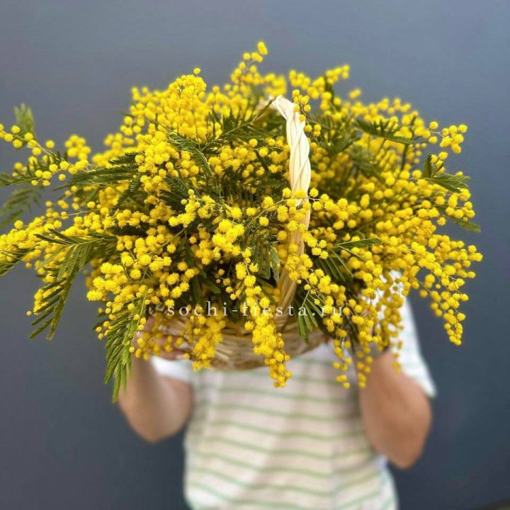 Весенняя корзина мимозы в Челябинске