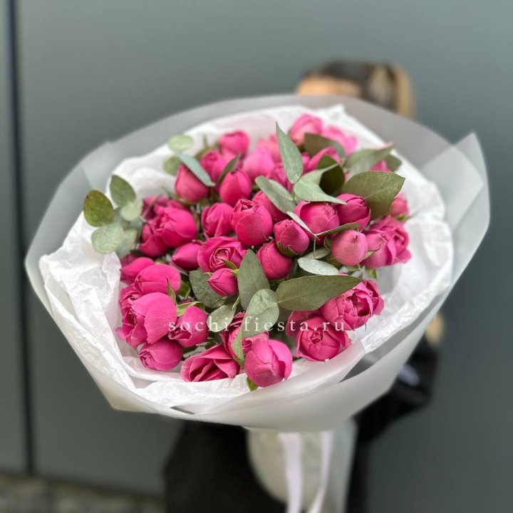 17 Мисти бабблс в Челябинске