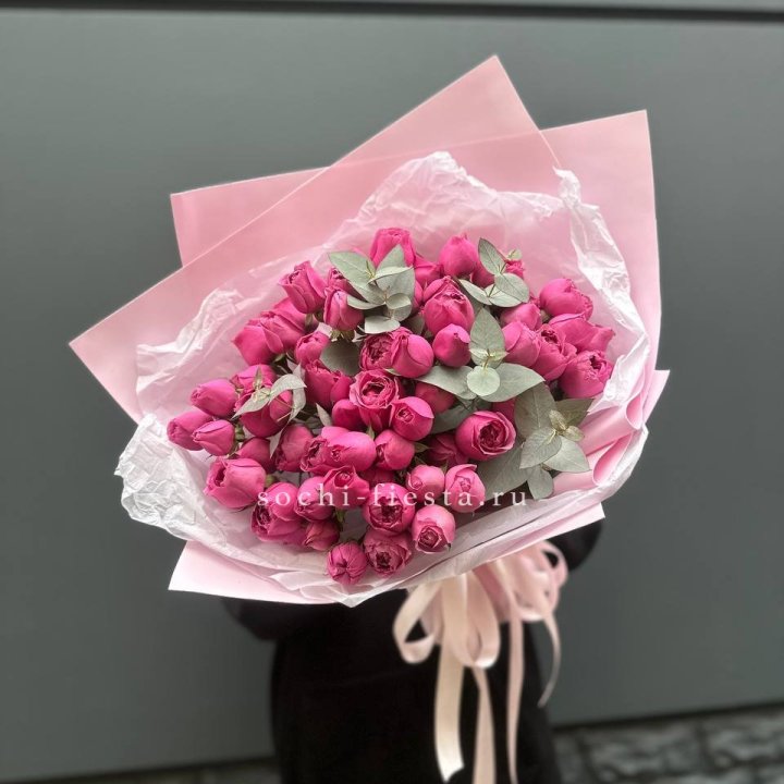 25 Мисти бабблс в Челябинске