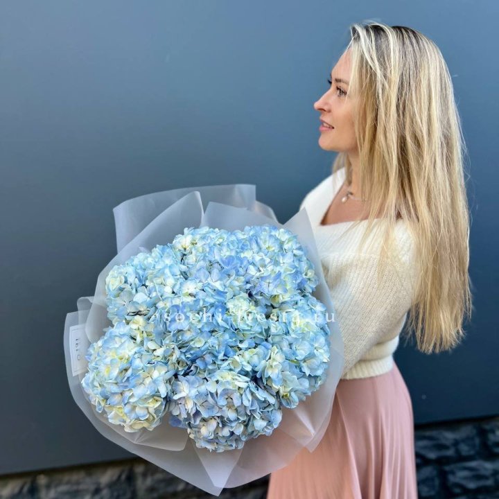 7 голубых гортензий в Челябинске