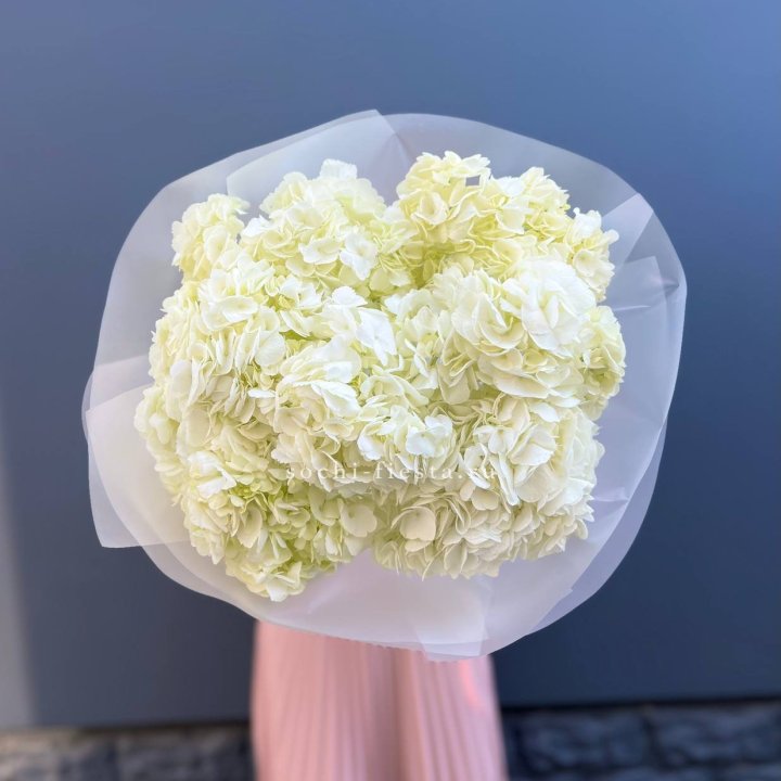 7 белых гортензий в Челябинске