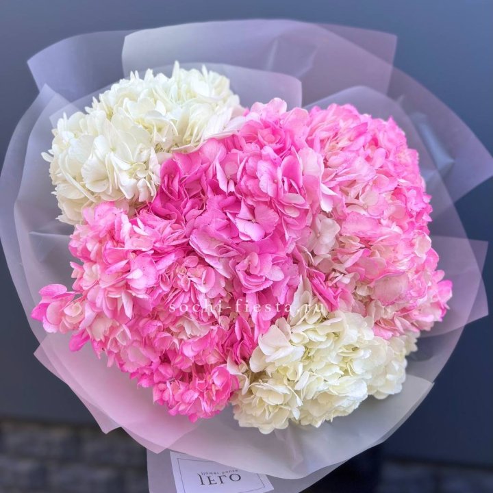 5 бело-розовых гортензий в Челябинске