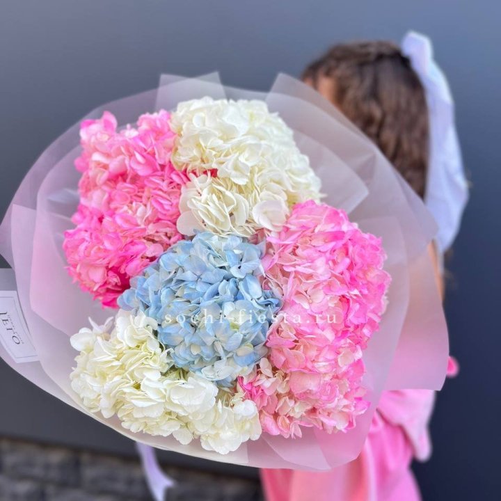 7 гортензий микс в Челябинске