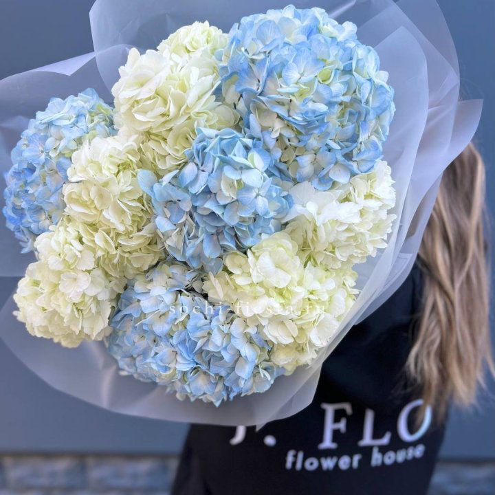 9 бело-голубых гортензий в Челябинске