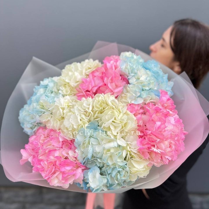 9 гортензий микс в Челябинске