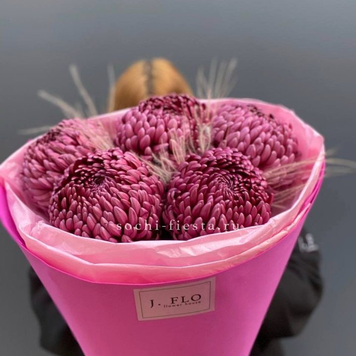 Хризантемы  Бигуди с стифой в Челябинске