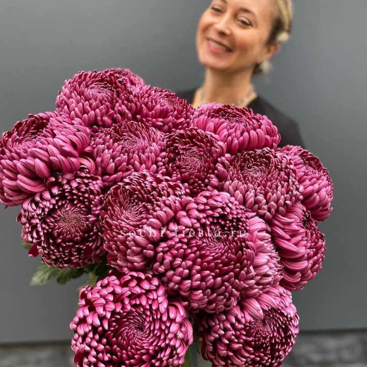 Охапка хризантем Бигуди в Челябинске