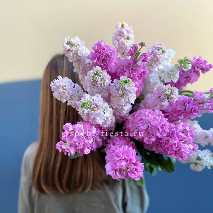 Охапка маттиолы в Челябинске