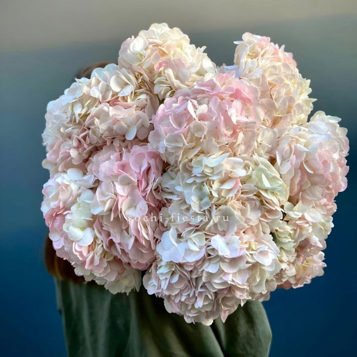 Охапка розовой гортензии в Челябинске