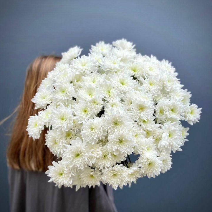 Охапка Хризантемы кустовой в Челябинске