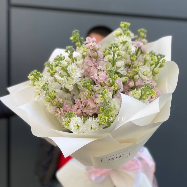 29 маттиол  в Челябинске