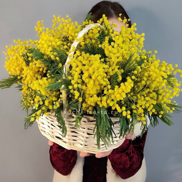 Корзина ароматной мимозы в Челябинске