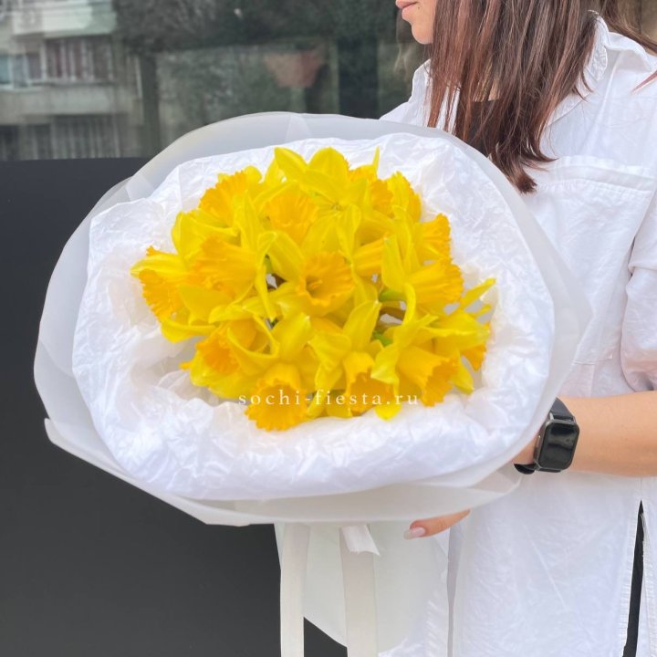 Нарциссы 25 шт в Челябинске